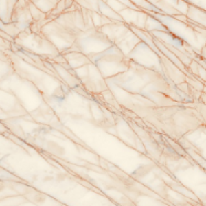 Golden Spider Golden Spider